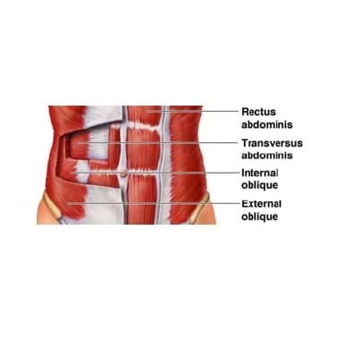 abdomen core running