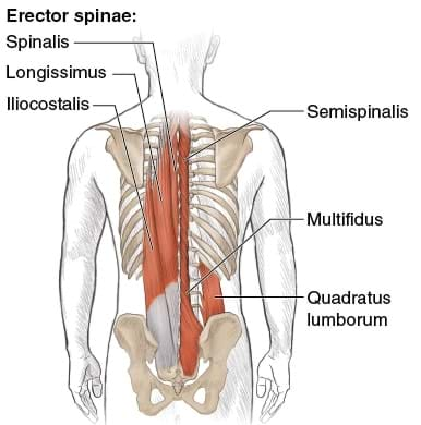 Core strengthening